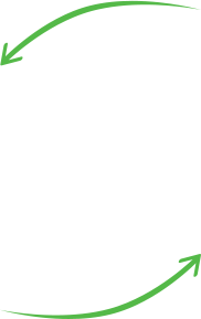 arrows